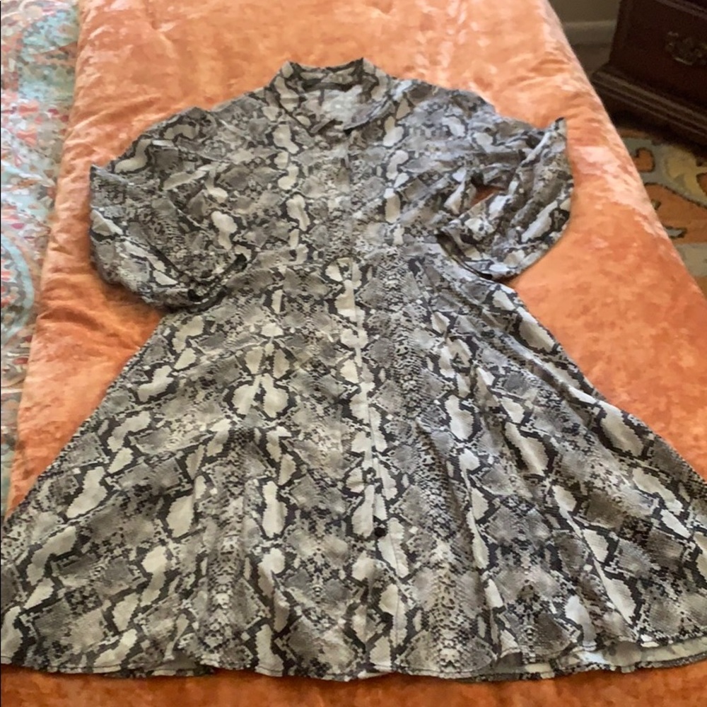 NWOT Zara Snake Print Dress Size XS